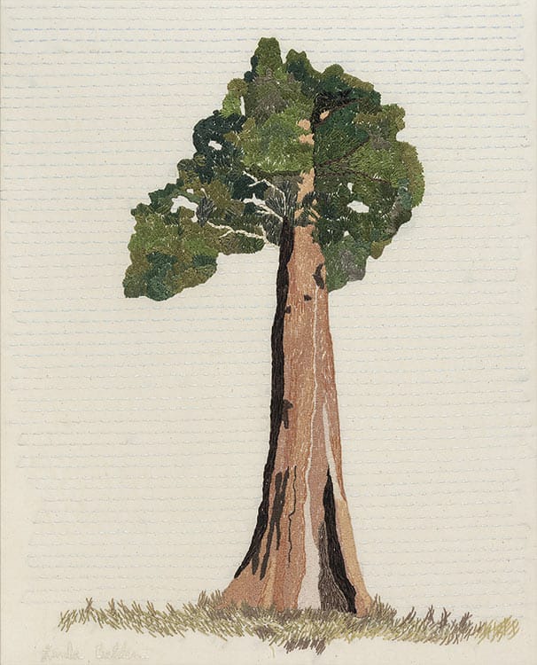 Linda Belden - 'Giant Sequoia'